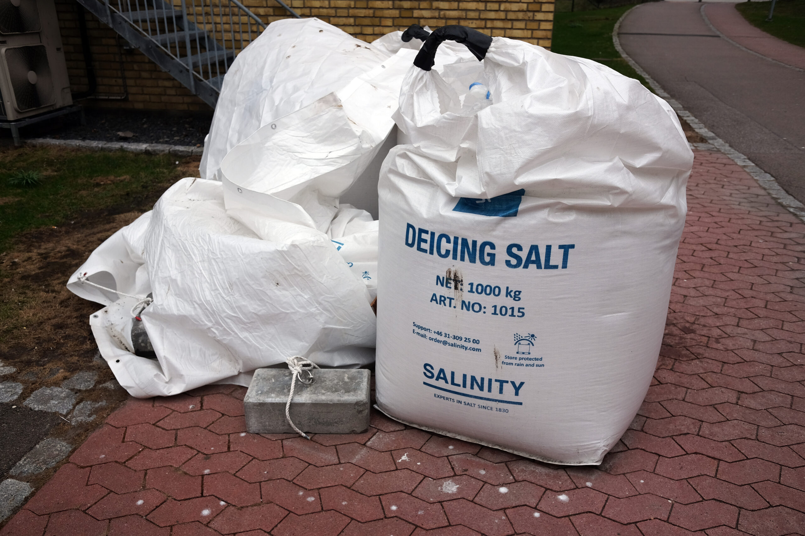 Bagged Salt